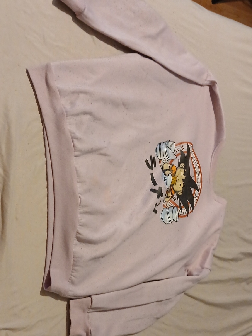 Source Unknown Light Pink Dragon Graphic Women's Sweater